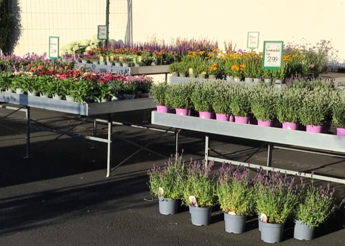 Monheimer Blumenmarkt